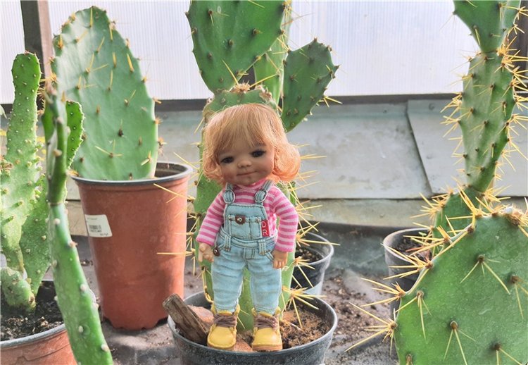 Выставка тюльпанов в Твери, продолжение