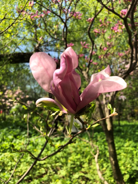 Тони Старк: приключения без брони. Был месяц май, половина вторая