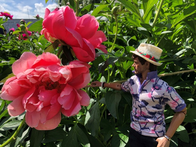 Тони Старк: приключения без брони. И снова Аптекарский огород | Бэйбики Тони Старк: приключения без брони. И снова Аптекарский огород