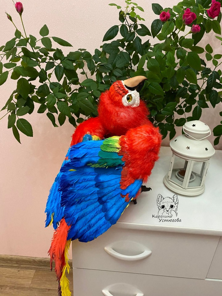 Попугай Ара — Игрушки в смешанной технике (мех и глина): Арт (фото 8)