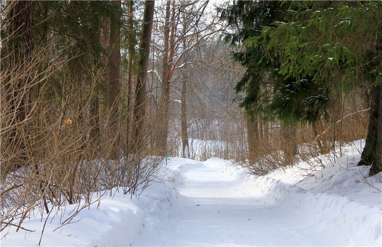 В поисках Синей птицы. Merle от Sissel Bjorstad Skille, Фирмы Götz