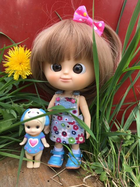 Поездка на дачу с Mui-chan, Migliorati и Sonny angel