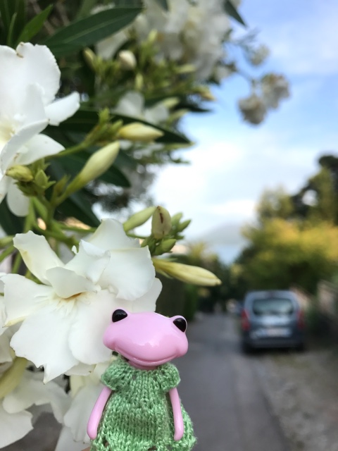 Таша Wonderfrog в Черногории