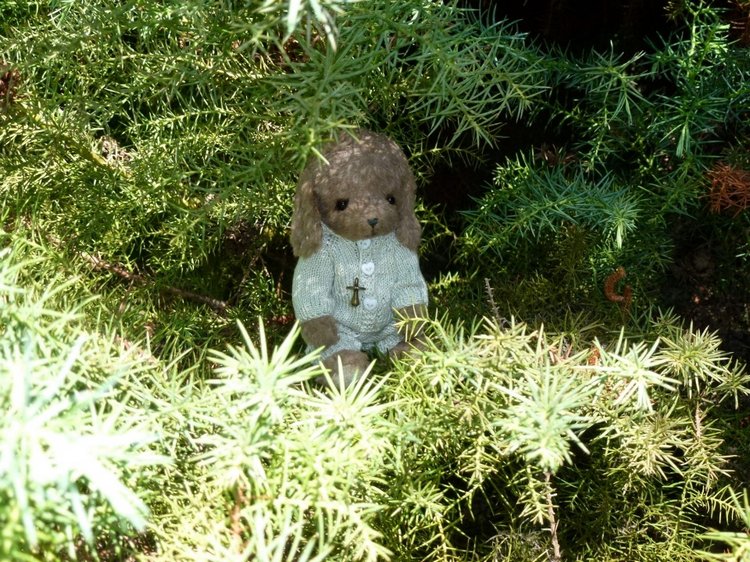 Краснодарский Край, Сочи-Адлер, Санаторий «Южное Взморье»