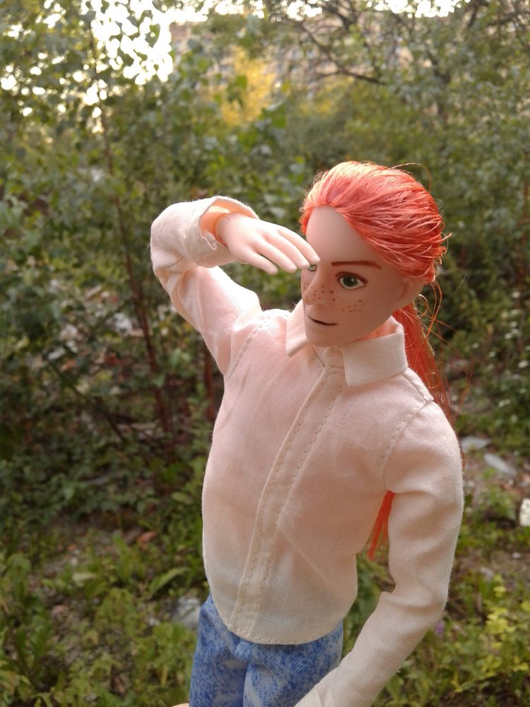 Кто же там, в малиннике — Куклы и тела Obitsu (Обитсу): 1/6