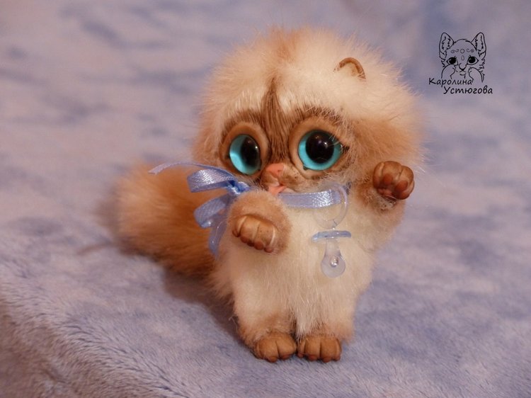 Сиамский котеночек-ребеночек