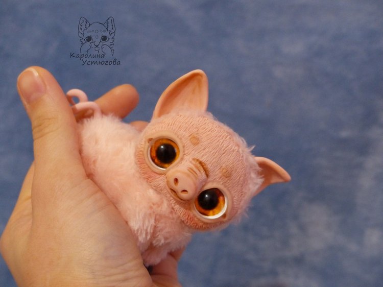 Свин Роберт - символ 2019 года (фото 9)