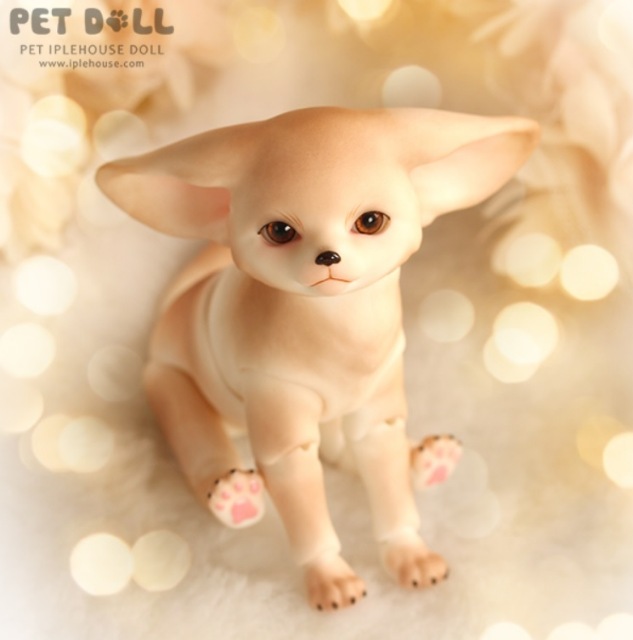 Новинки от Iplehouse - Маленький принц Fay (формат KID) и лис Fennec Fox