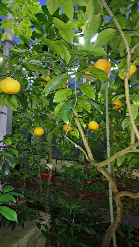 Как малявочки на Ночь Музеев ходили