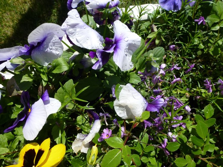 Сочи-Адлер: Южное Взморье - Мои любимые куколки на отдыхе