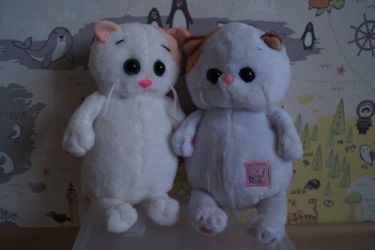 Как Агаша кошечку шила — Другие хобби и увлечения: сад