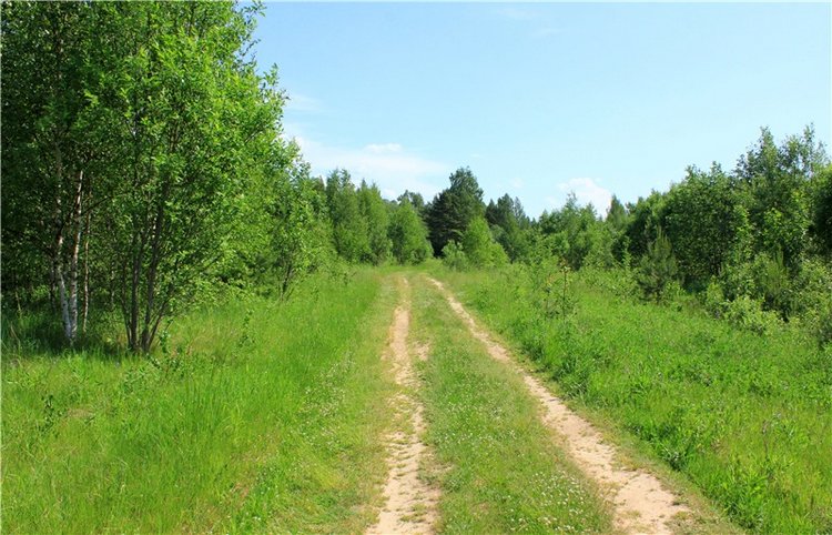 Малиновый Июнь, продолжение. BJD Gigi от Meadow Dolls