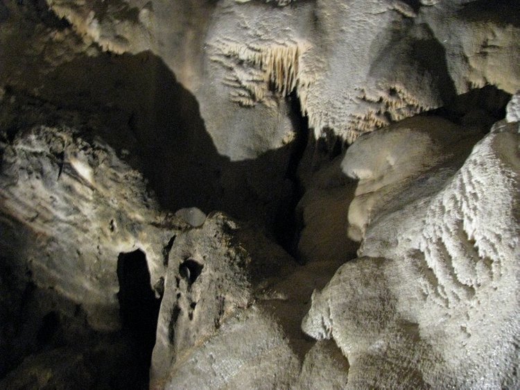 Незабываемая экскурсия по Словении: Постойная Яма и Предъямский замок (фото 3)