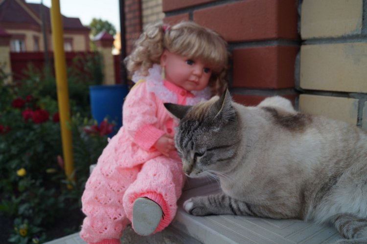 Катя сходила в гости — Интересные игрушки и фигурки (разное): редкие (фото 8)