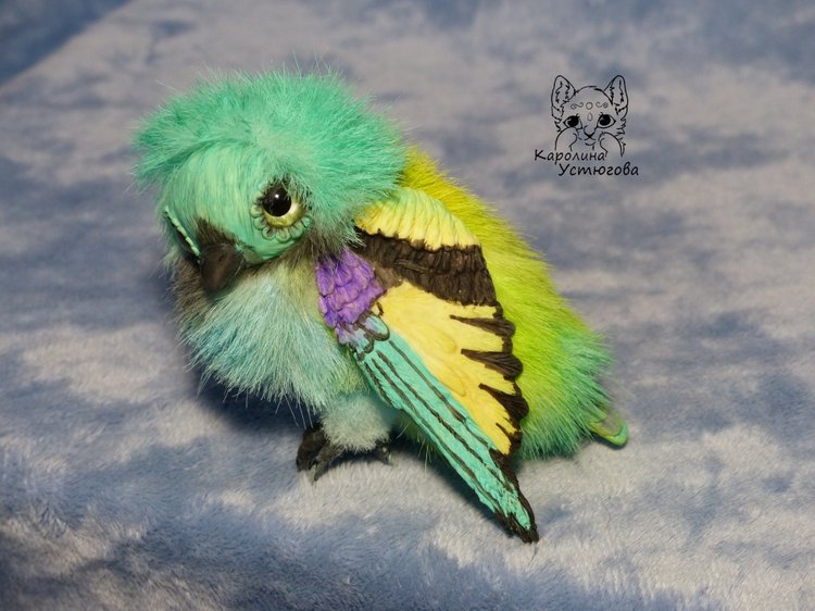 Зеленоголовая танагра, чудо птичка