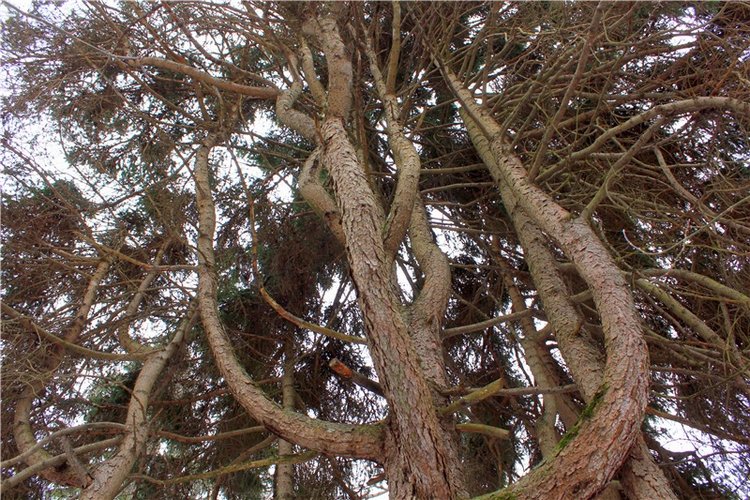 Путешествие в первый день Весны