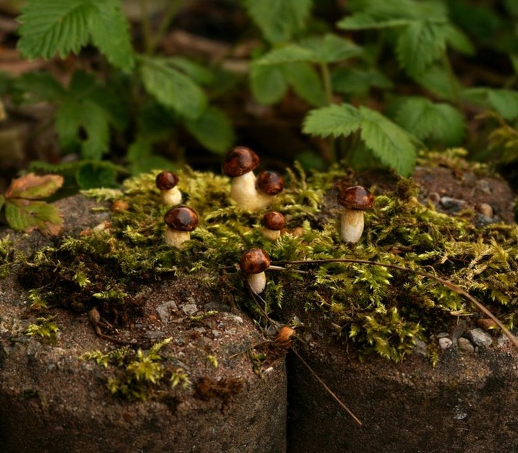 TinyLittleMiniatures - Авторские миниатюрные глиняные фигурки by Milia