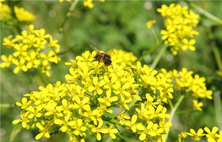 Сентябрьское путешествие в Старицу, третья часть (фото 9)