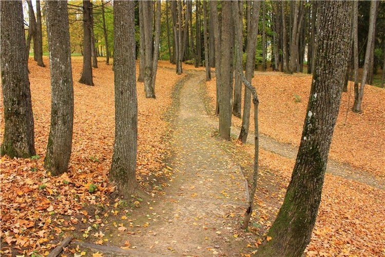 Золотая Осень в Берново с Имани. Mini Imani от Kaye Wiggs