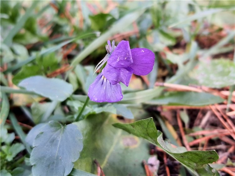 Путешествие по Святым местам Тверской области