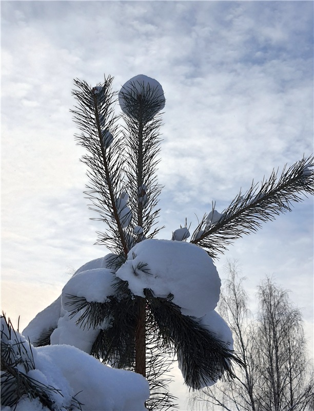 Снежно-Нежно Новогодний — Винтажные куклы ГДР (Немки): Бигги (фото 5)