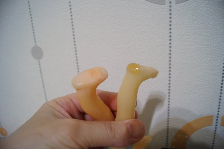 Вторая февральская выписка. Заходите, будет интересно