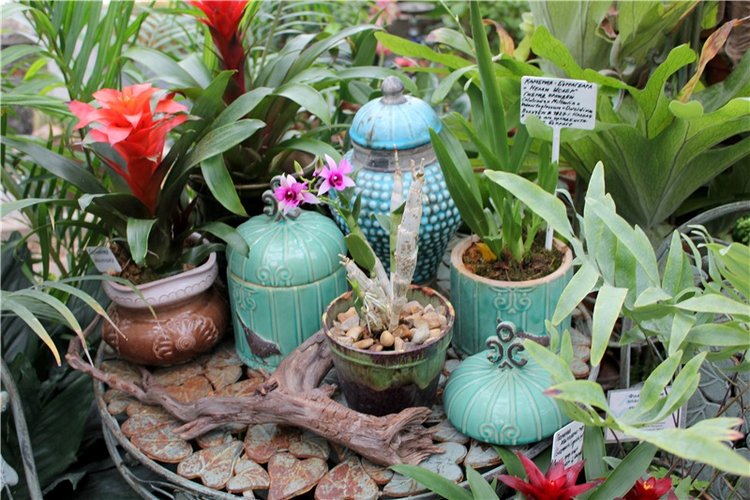 Тверской Ботанический Сад, продолжение | Бэйбики Тверской Ботанический Сад, продолжение