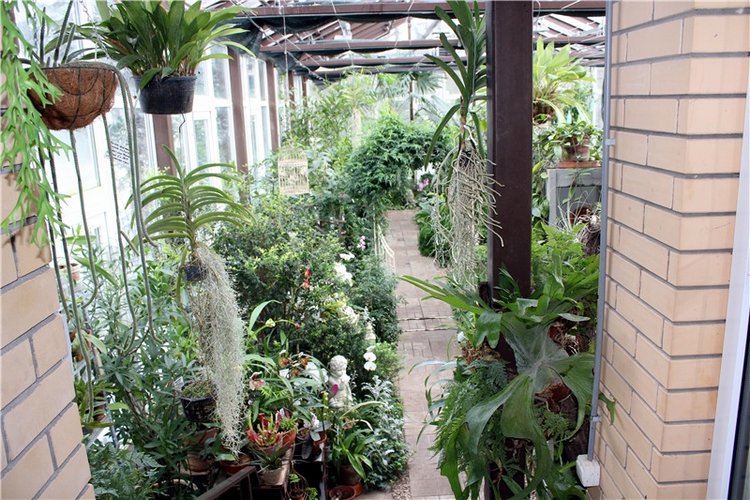 Тверской Ботанический Сад