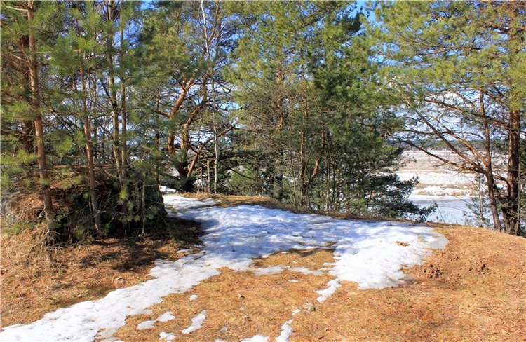 Весна в "Саду Камней" | Бэйбики Весна в "Саду Камней" — Куклы Meadow dolls (Медовушки): BJD (БЖД)