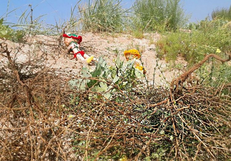 Конец... Лету — Игровые куклы разных производителей (Разное): редкие бренды