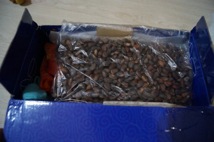 Третья посылка — Игровые куклы разных производителей (Разное): редкие бренды