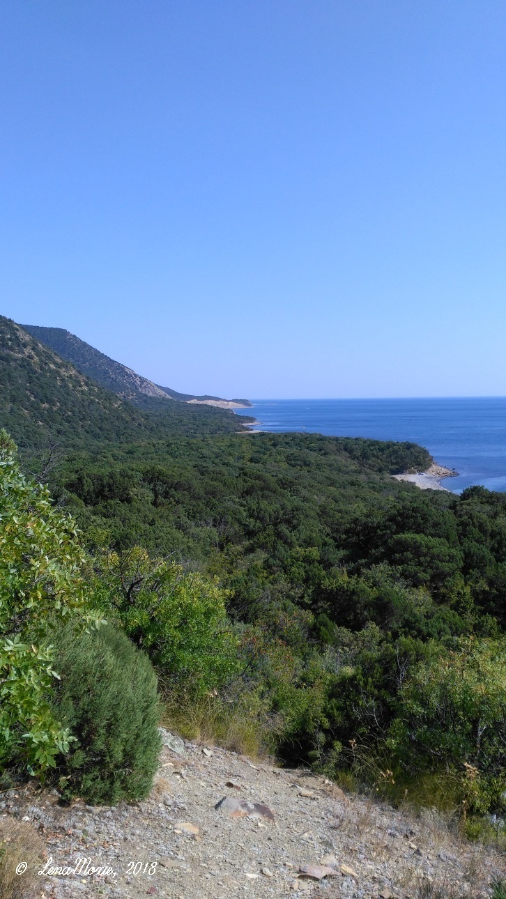 Kidz' тур. Юлино лето — Куклы Kidz'n'Cats (Соня Хартман): шарнирные 46 см