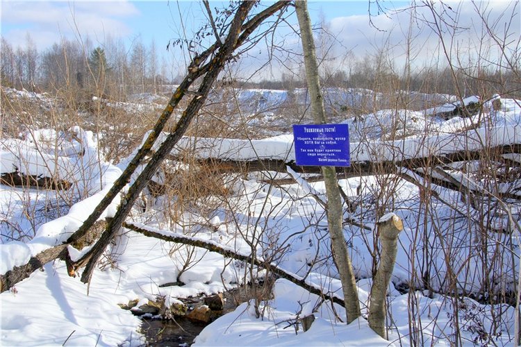 Зимняя прогулка Сони. Уникальная кукла от Сильвии Наттерер