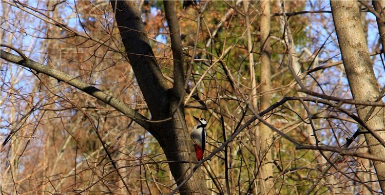Апрельский день в Василёво, заключительная часть