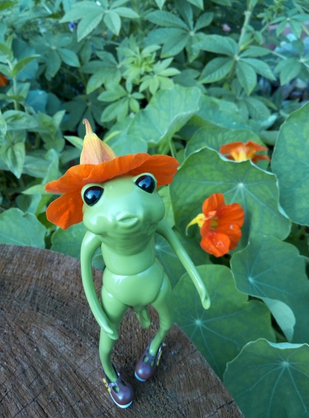 Добро пожаловать в удивительный мир Ванды (фото 2)