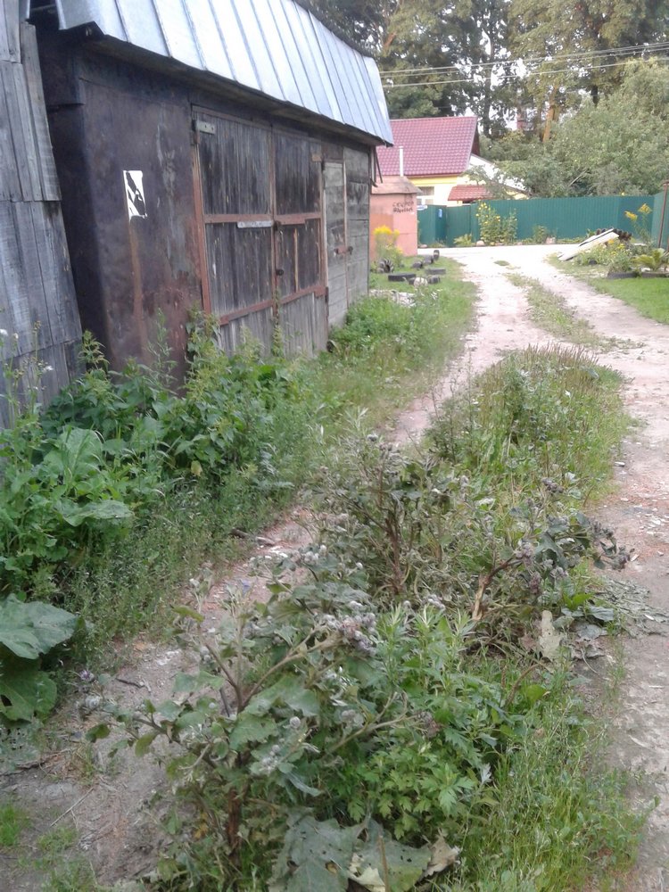 Просто Макс — Кукольные фотоистории и сериалы: комиксы (фото 2)