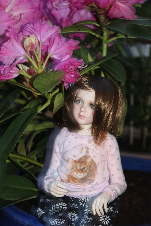 Вечерний сад. Розочка в пижамке (фото 8)