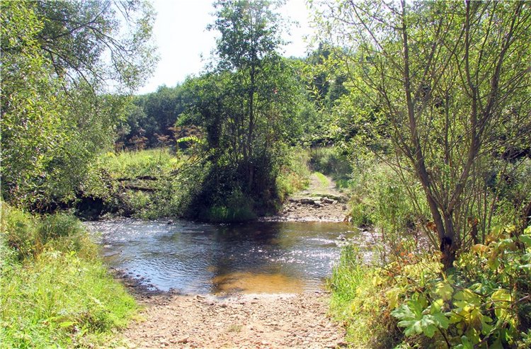 Старицкая Швейцария. Путешествие Мии. Minifee Miyu FairlyLand | Бэйбики Старицкая Швейцария. Путешествие Мии. Minifee Miyu FairlyLand