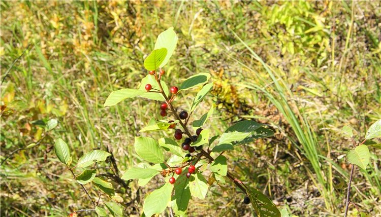 Старицкая Швейцария. Старицкие пещеры, д. Толпино, заключительная часть
