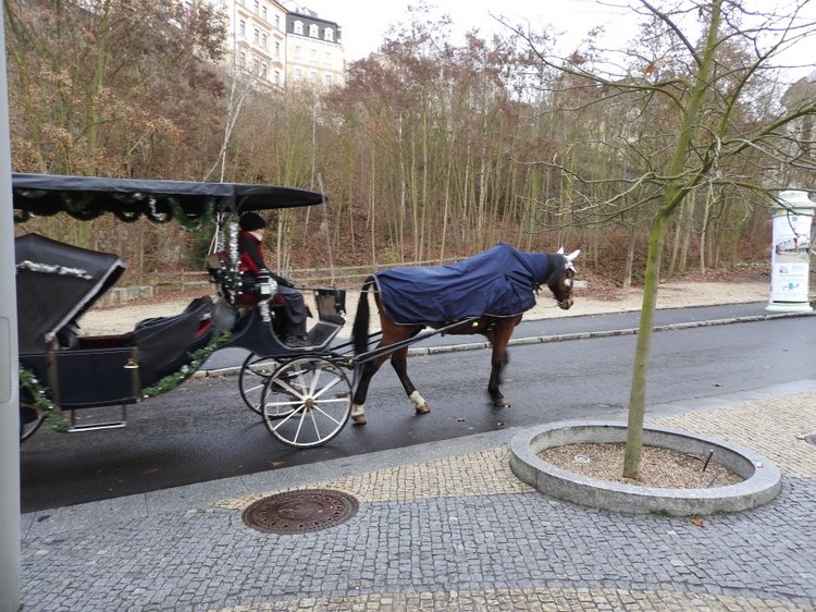 Чехия: Карловы Вары и малыш Степашка
