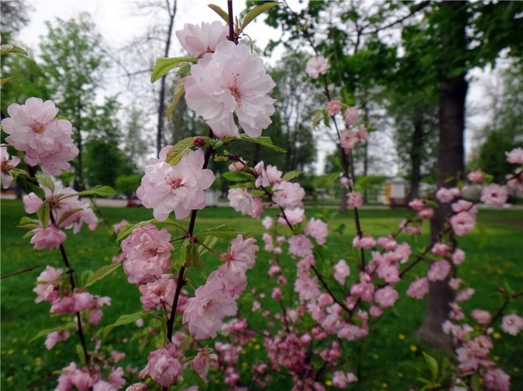 Милый мой город. Прогулка по Твери, заключительная часть