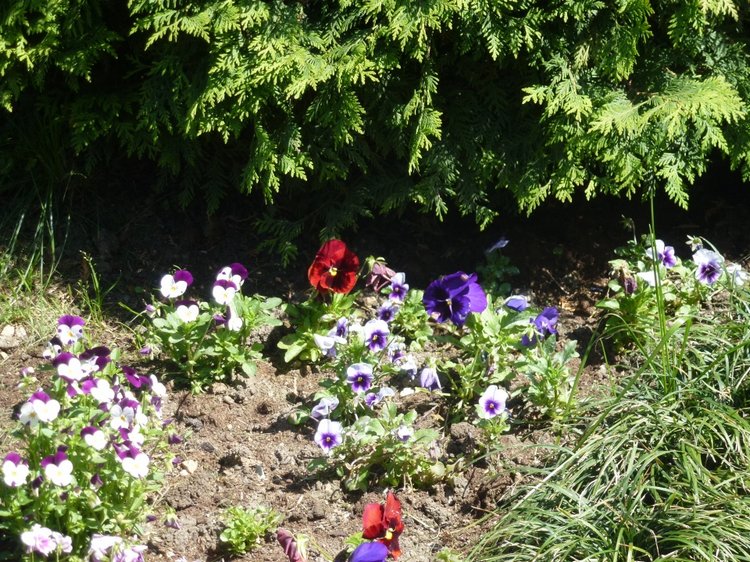 Сочи-Адлер: Южное Взморье - Мои любимые куколки на отдыхе