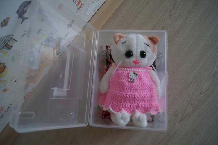 Как Агаша кошечку шила — Другие хобби и увлечения: сад