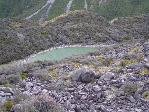 Увлекательное путешествие по Новой Зеландии