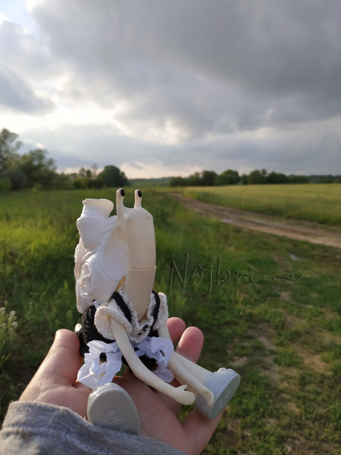 Wonderfrog. Красота в простоте