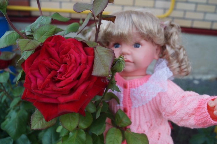 Катя сходила в гости — Интересные игрушки и фигурки (разное): редкие (фото 10)