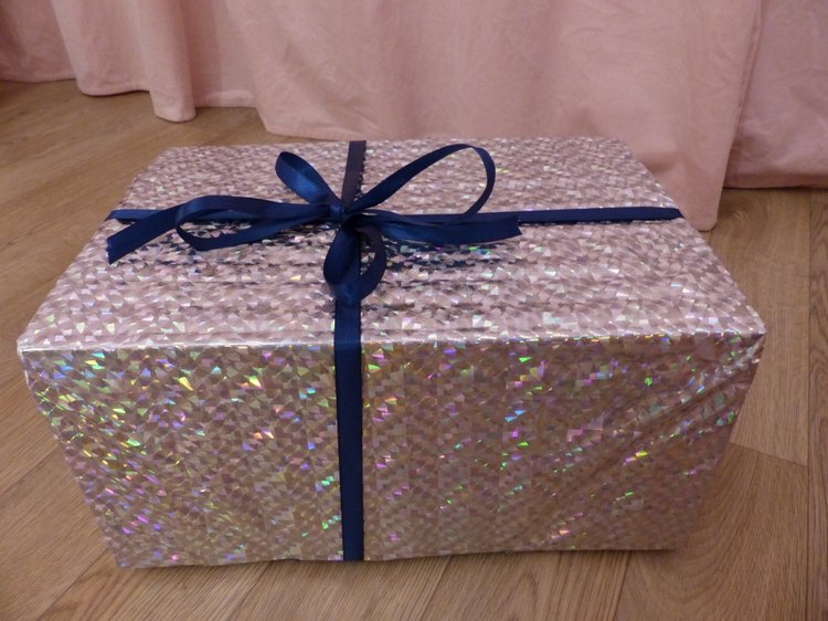 Новогодняя упаковка, провожаем в путь зверяток. Разные фотографии