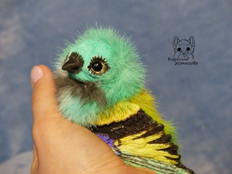 Зеленоголовая танагра, чудо птичка (фото 6)