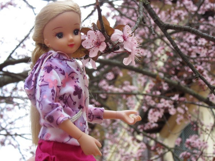 До пандемии. Путешествие по Италии, часть 3 (Флоренция, аутлет Барберино)