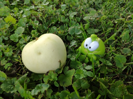 Любимые фигурки — Интересные игрушки и фигурки (разное): редкие